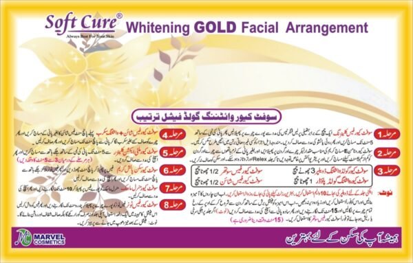 24k gold facial kit use