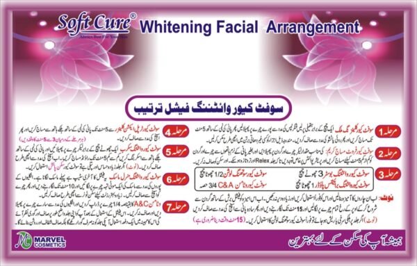 Whitening Facial Kit Use